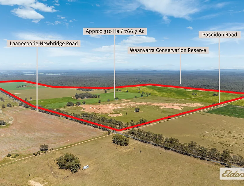  Laanecoorie-Newbridge Road, Newbridge, Bendigo, 0 ਕਮਰੇ, 0 ਬਾਥਰੂਮ, Lifestyle Property