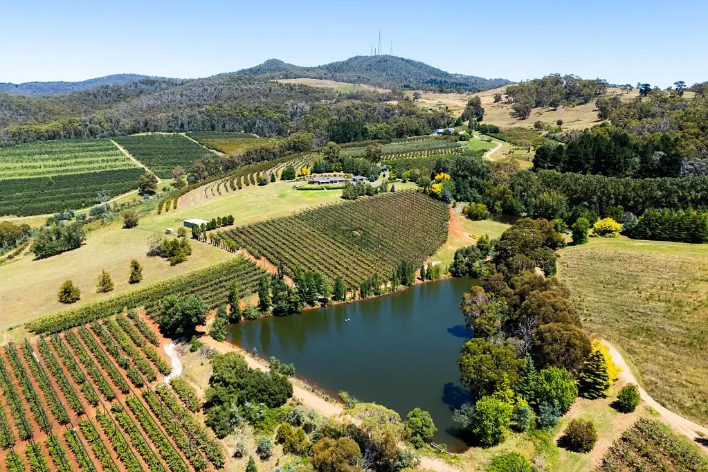 Orange Superbly located on the edge of the Towac Valley - Amazing views and an overall exceptional opportunity