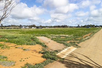 167 Campbells Lane, Coolamon, NSW 2701, 0 slaapkamers, 0 badkamers, Section