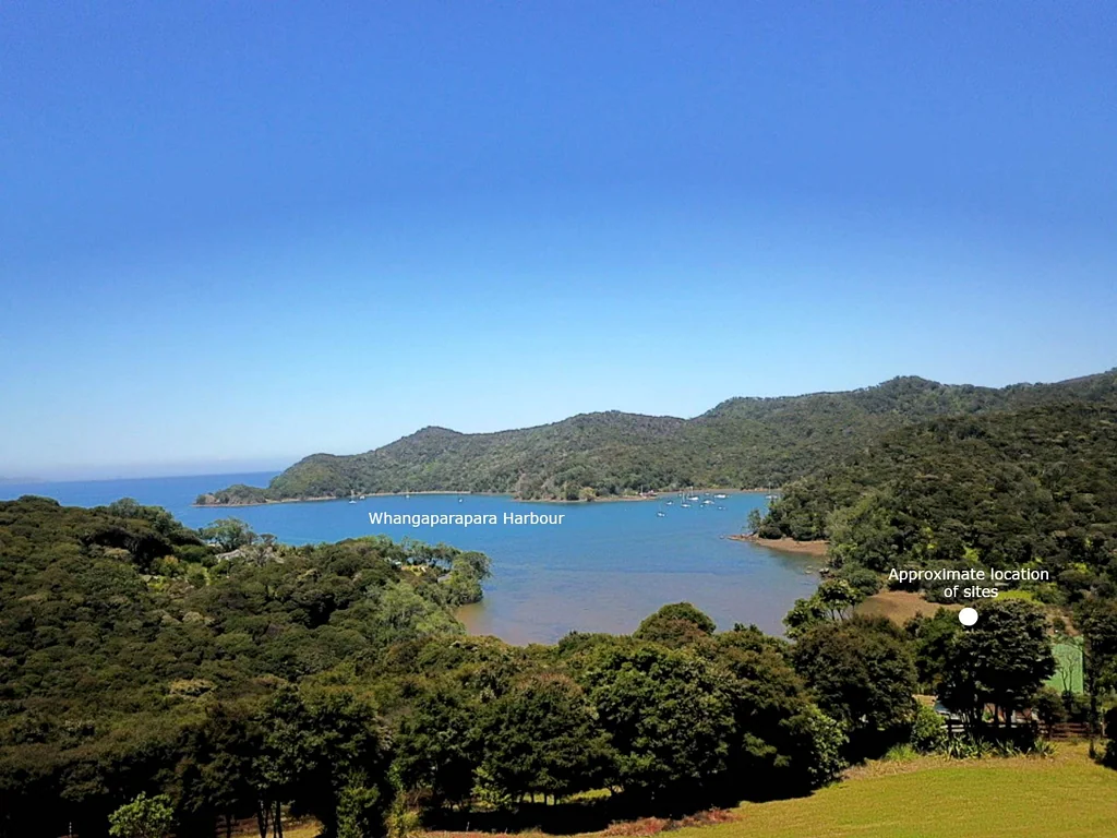 Great Barrier Island Tranquil paradise overlooking the harbour