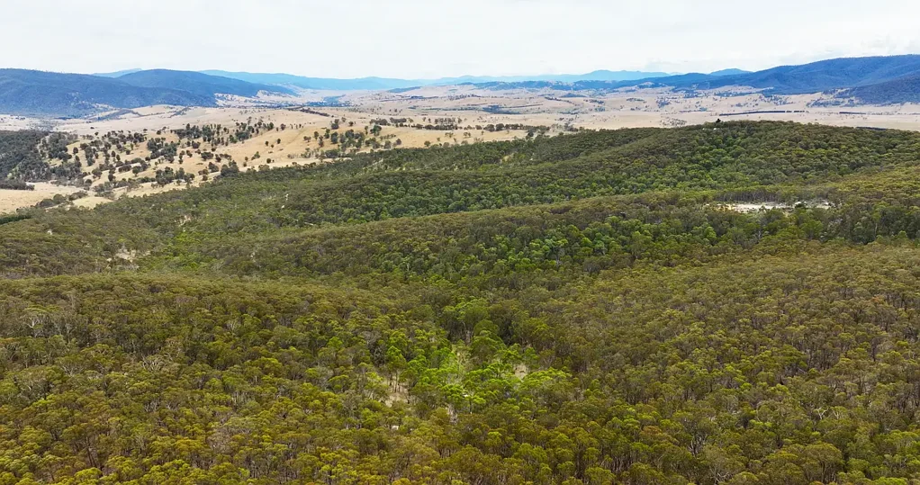 175 Kangaroo Track, Omeo, VIC 3898