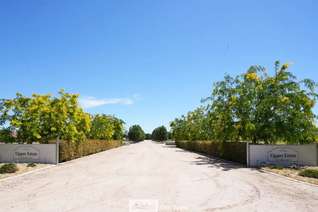 Yoogali  Need more than 4,000m2 (approx. 1 acre)?