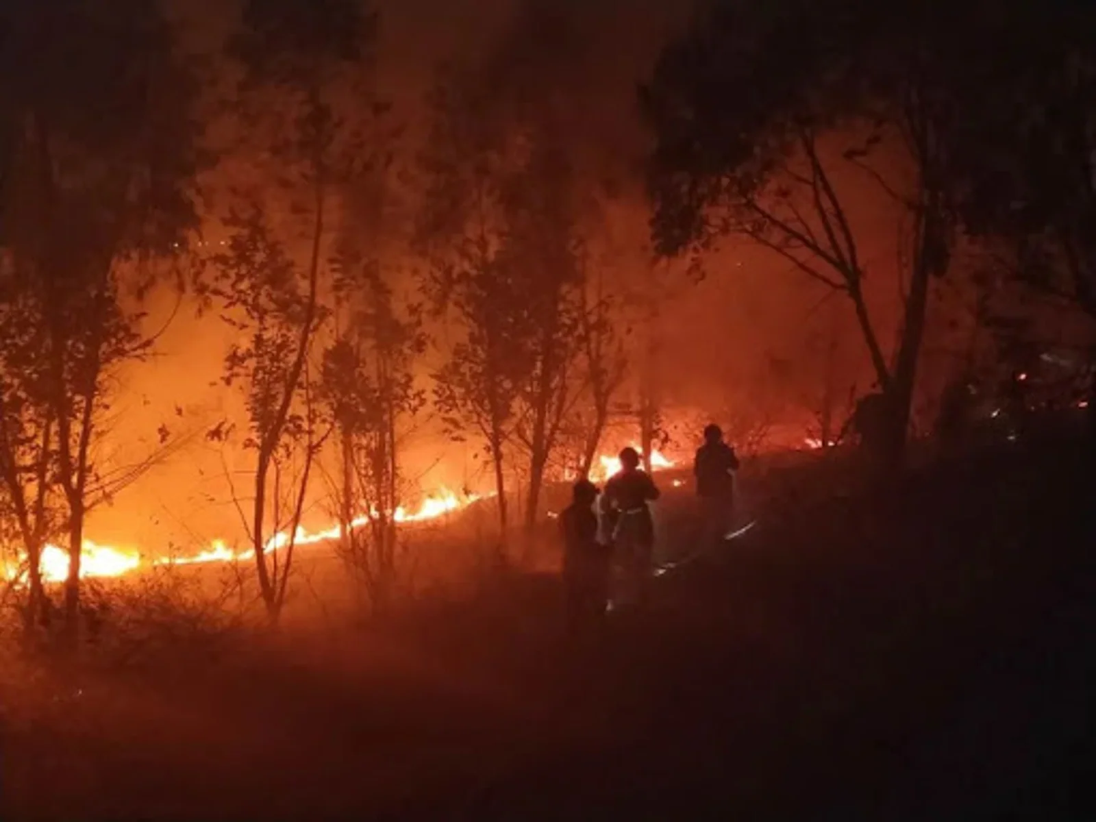 探访西昌山火牺牲者遇难地:仍留衣物残片,整片山坡已被烧光