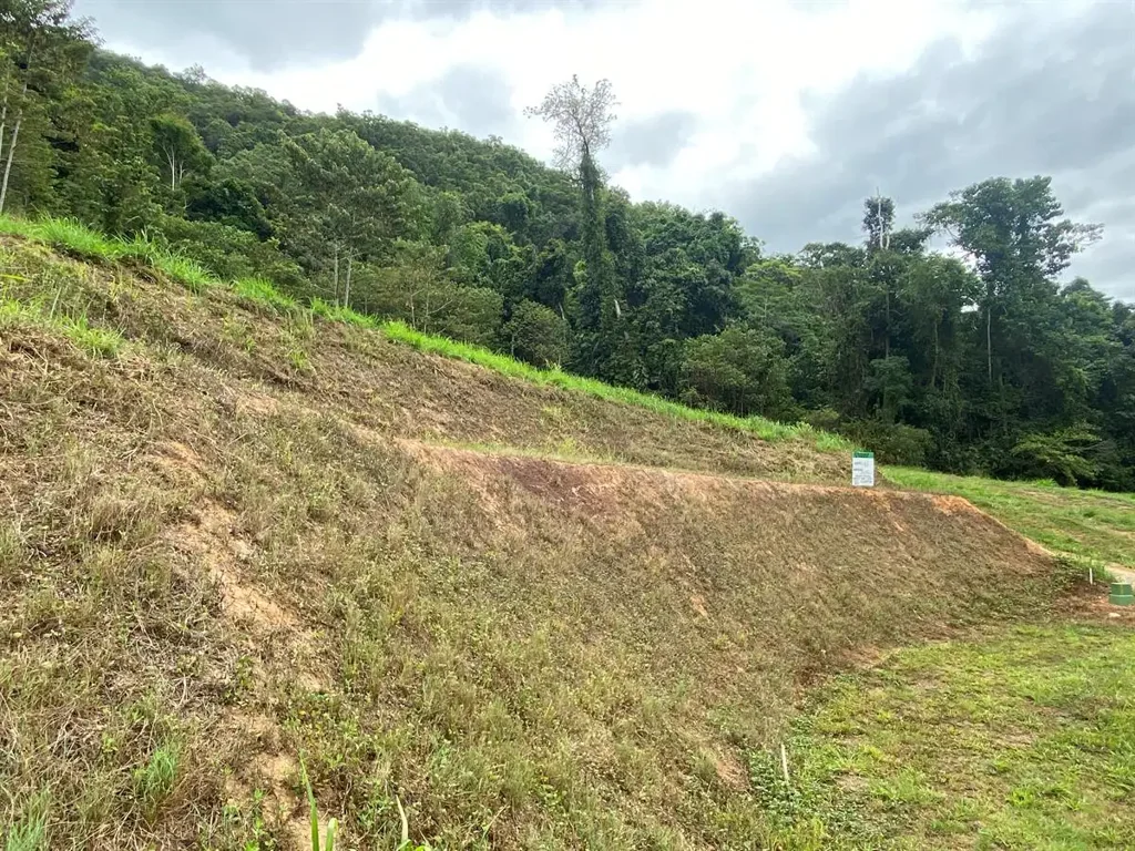 Redlynch  5 Acres, Elevated To Take In The Cool Breezes