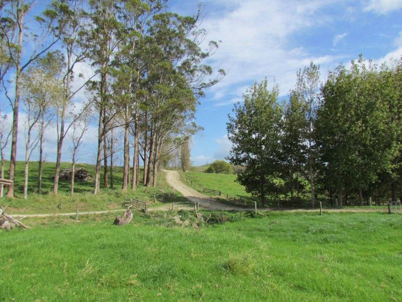 284 Marohemo Road, Maungaturoto, Kaipara, 0 Bedrooms, 0 Bathrooms, Grazing