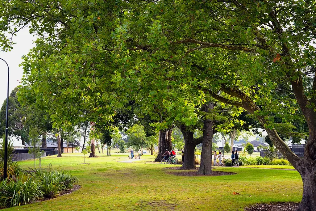 Ravenswood  Great Orientation!