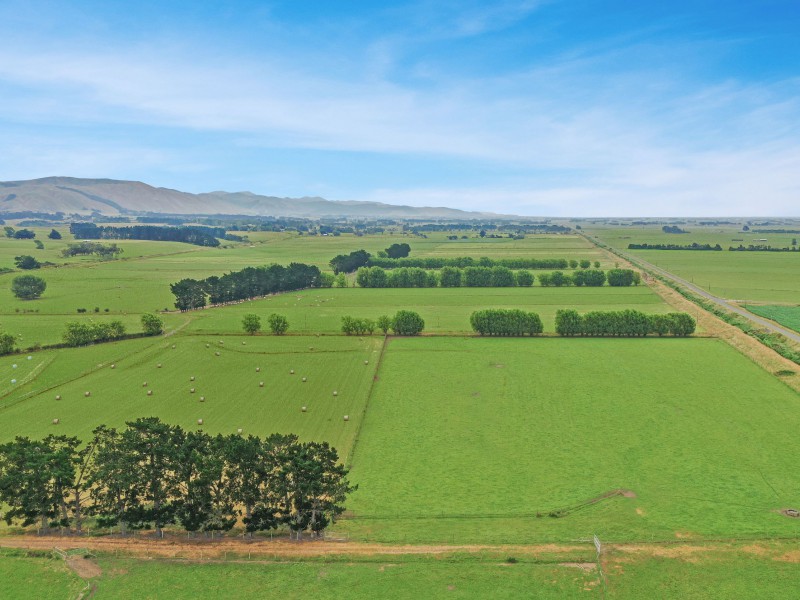 142 Linton Drain Road, Linton, Palmerston North, 0 ਕਮਰੇ, 0 ਬਾਥਰੂਮ