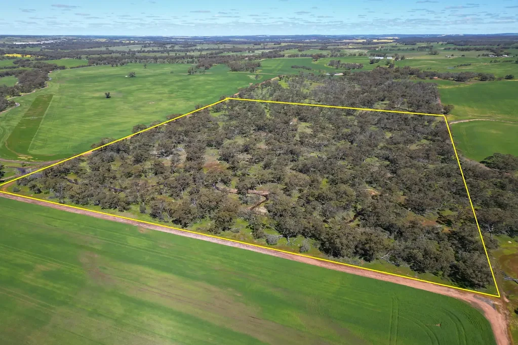 Glentromie  Beautiful Bush Retreat