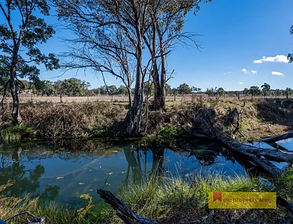 LOT 190/1121 Ulan Road, Mudgee, NSW 2850, 0 રૂમ, 0 બાથરૂમ, Lifestyle Property