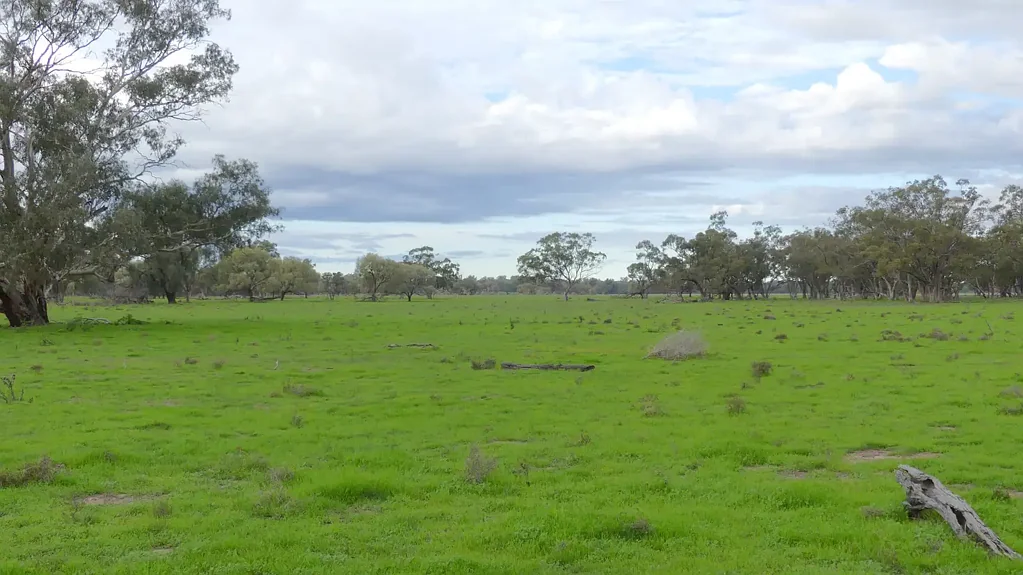 Warren Ideally Located Mixed Farming Property