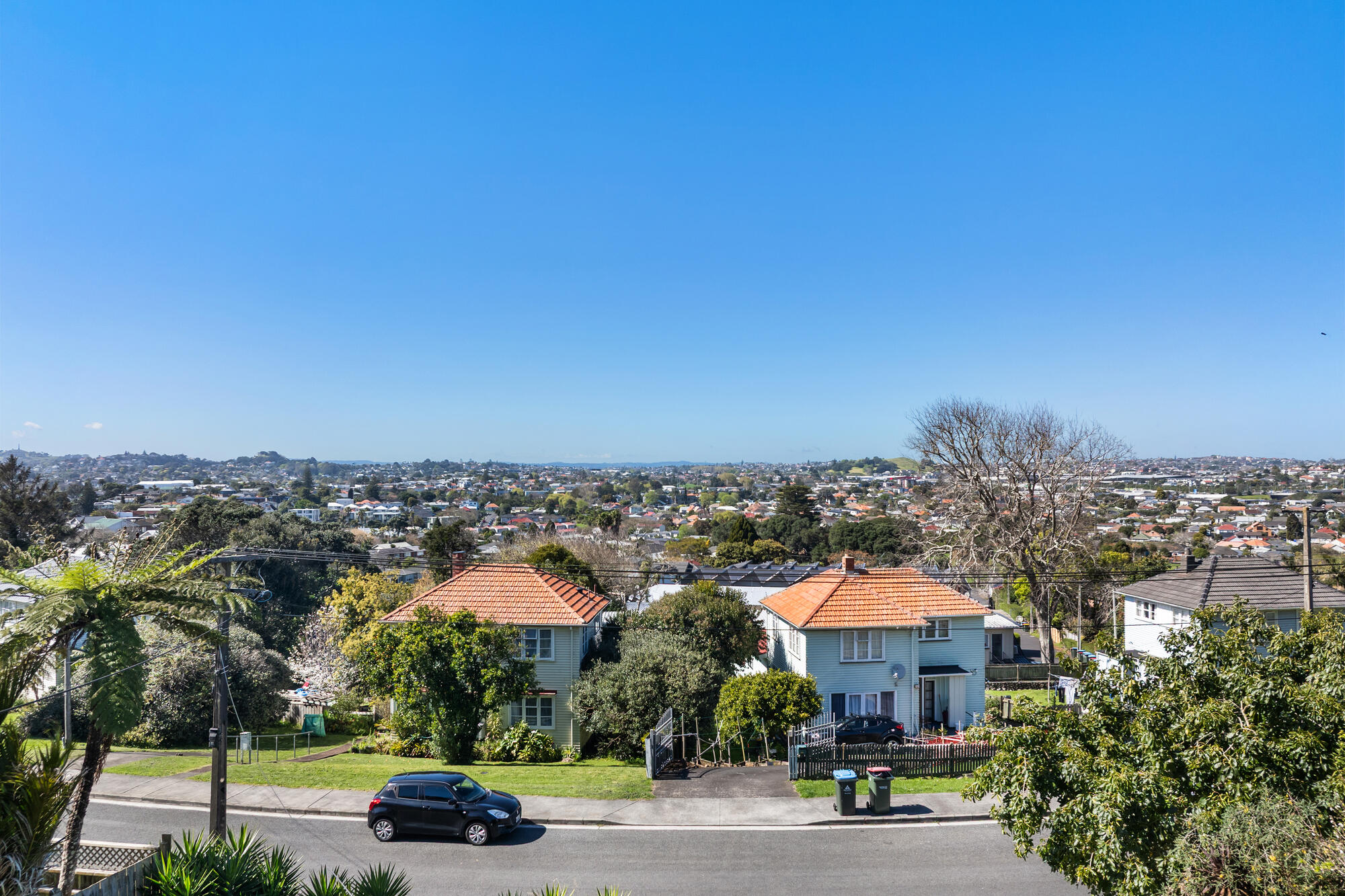41 Mount Royal Avenue, Mount Albert, photo 14
