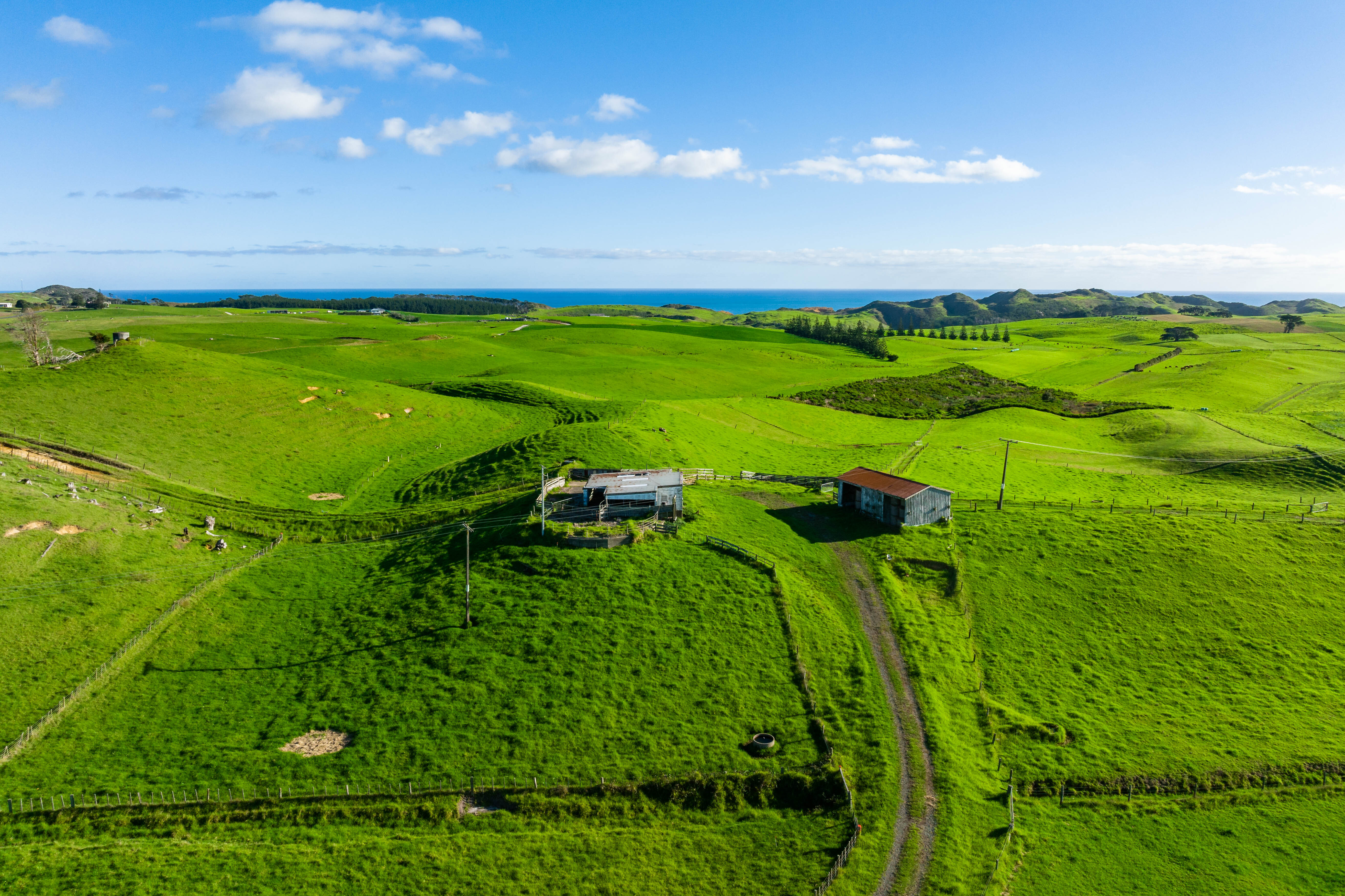 1116 Redhill Road, Te Kopuru, Kaipara, 0 habitaciones, 1 baños, Grazing