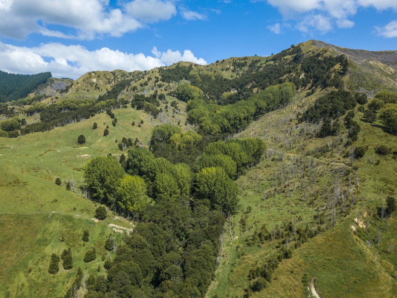 1284 Kanakanaia Road, Whatatutu, Gisborne, 0 Bedrooms, 0 Bathrooms