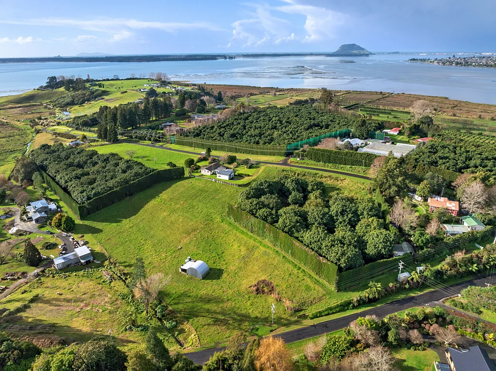 Te Puna Premier Te Puna orchard with views and vision