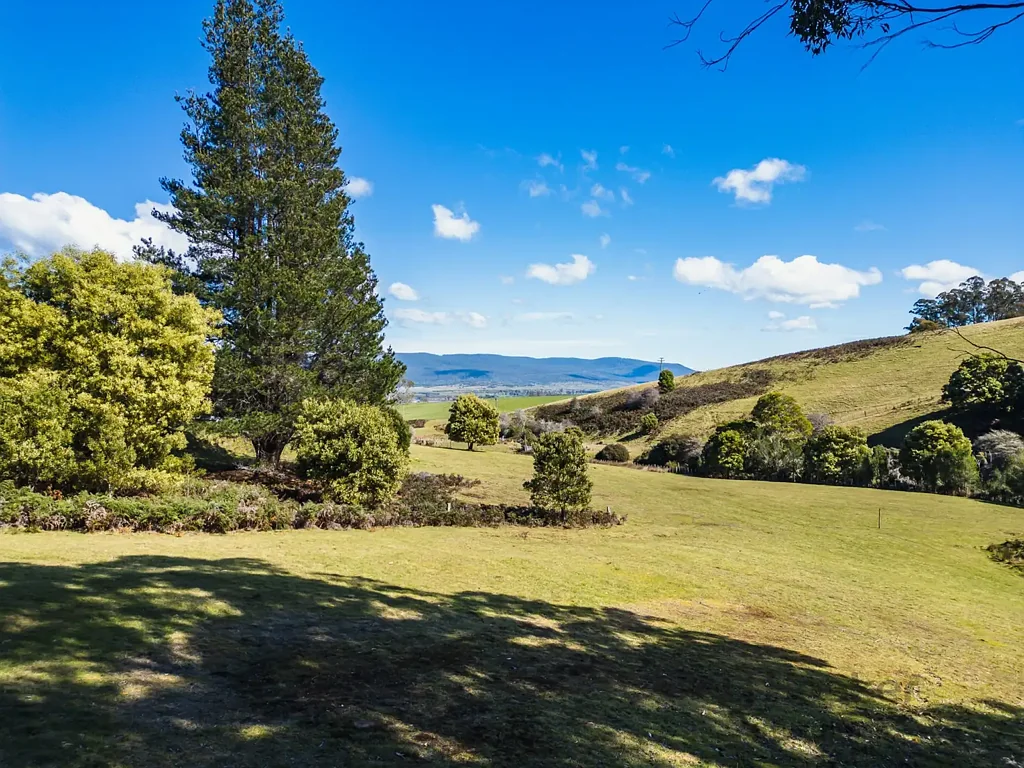 St Marys Beautiful lifestyle block minutes from town