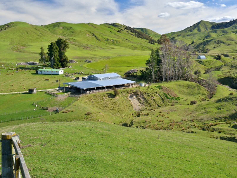 396 Stafford Road, Pehiri, Gisborne, 0 chambres, 0 salles de bain