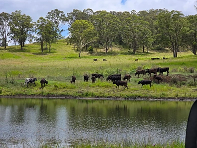 LOT 2 Ravensbourne Dip Road, Ravensbourne, QLD 4352, 0 slaapkamers, 0 badkamers, Section