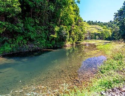 Address Withheld, Japoonvale, QLD 4856, 4 Schlafzimmer, 1 Badezimmer, Lifestyle Property