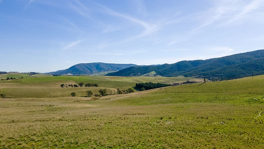 Tarana ?Whispering Meadows? - Central Tablelands Grazing
