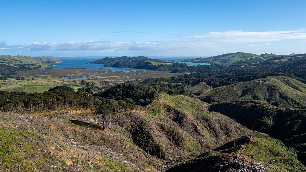 Manaia  THE BIG PICTURE
