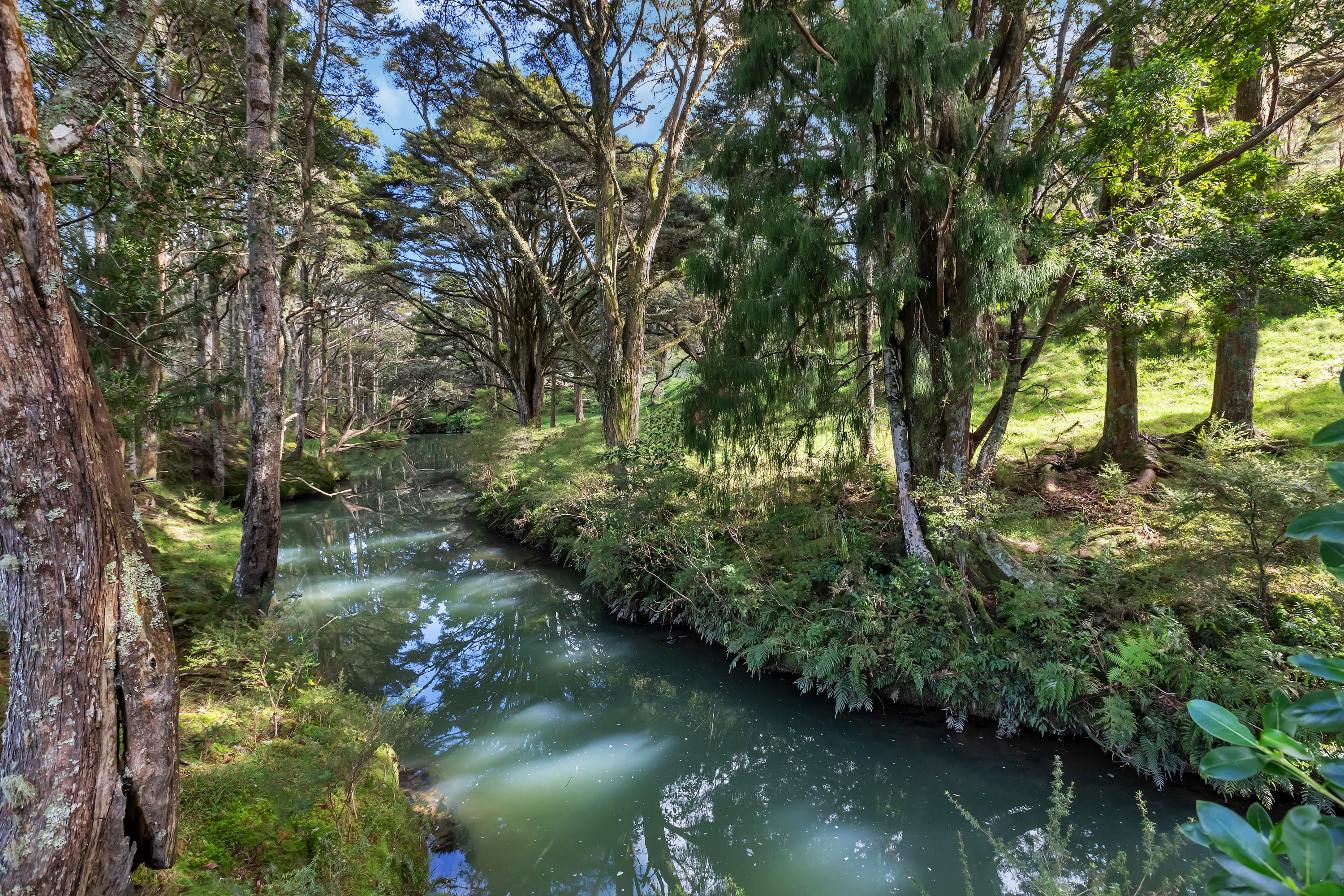 580 Kaiatea Road, Ngunguru, Whangarei, 0 રૂમ, 0 બાથરૂમ, Dairy