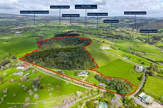 167 Holdens Road, Clevedon, Manukau City