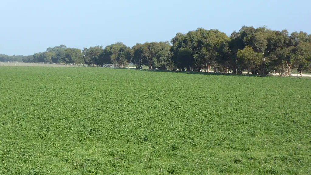 Address Withheld, Keith, SA 5267