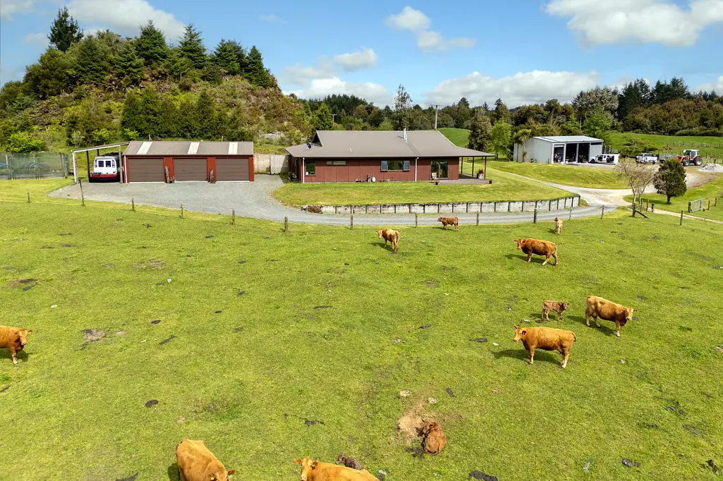 Ngongotaha 4 Bedroom Your Own Private Slice of Country