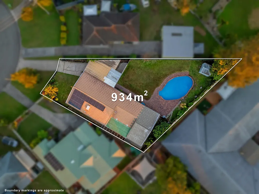 6 Parakeet Street, Birkdale, QLD 4159