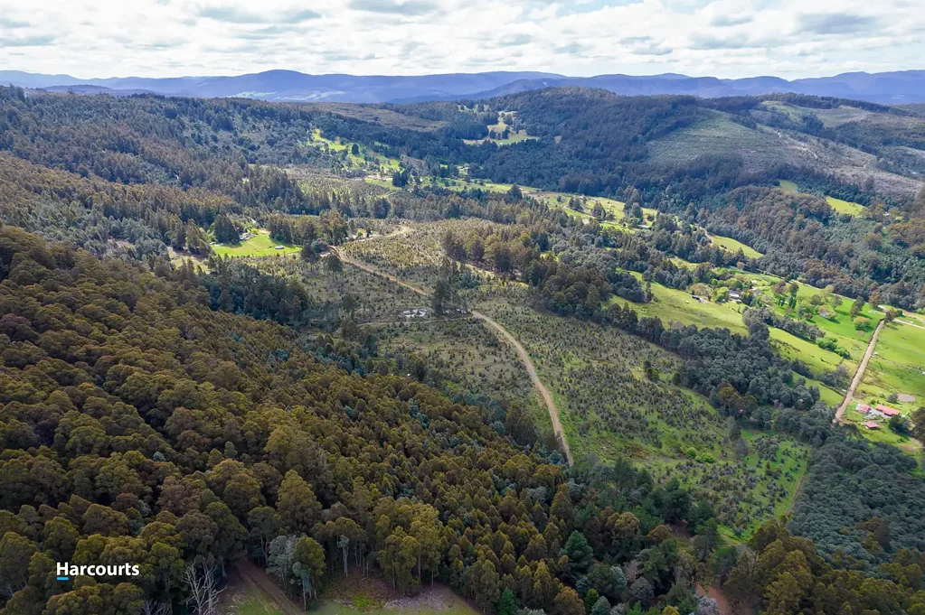 Lot 4 Paddys Lane, Franklin, TAS 7113