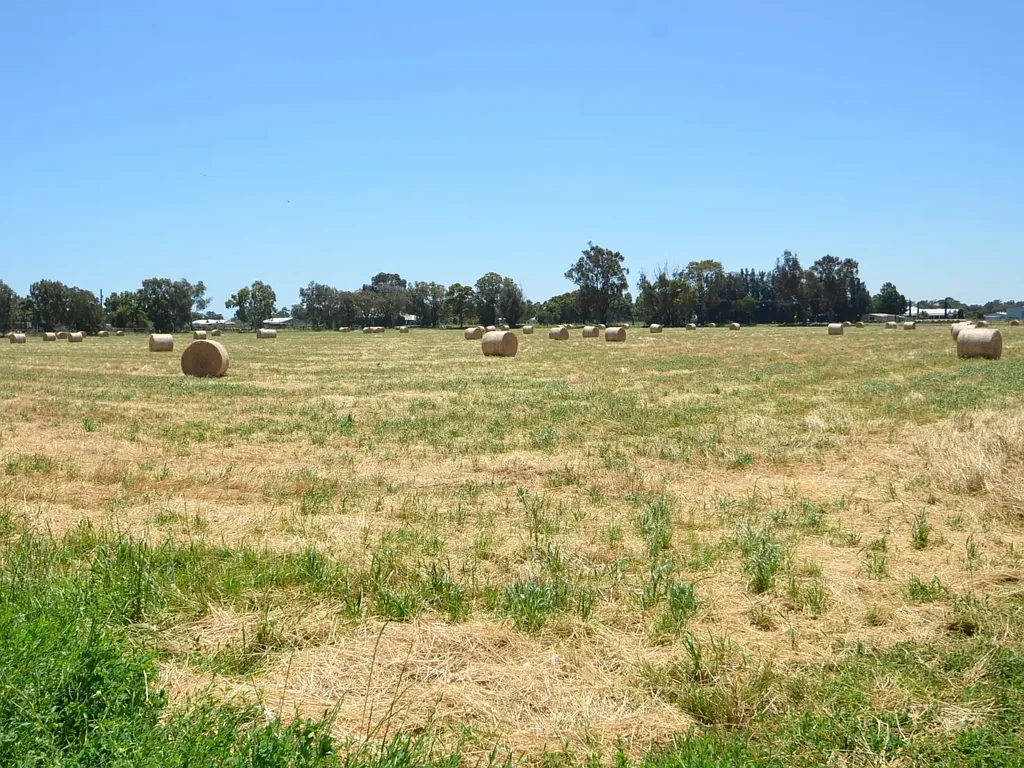 lot 165 Ninth Street, Harvey, WA 6220