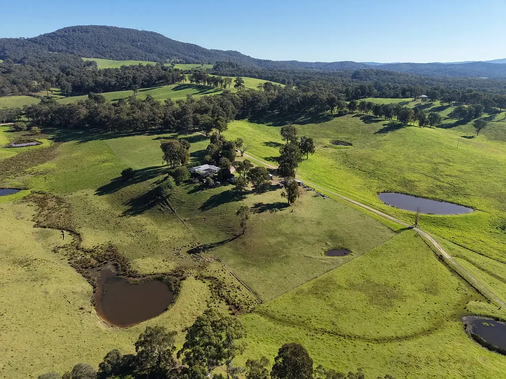 Mount Taylor  Freshly Updated Farmhouse on 10 Acres