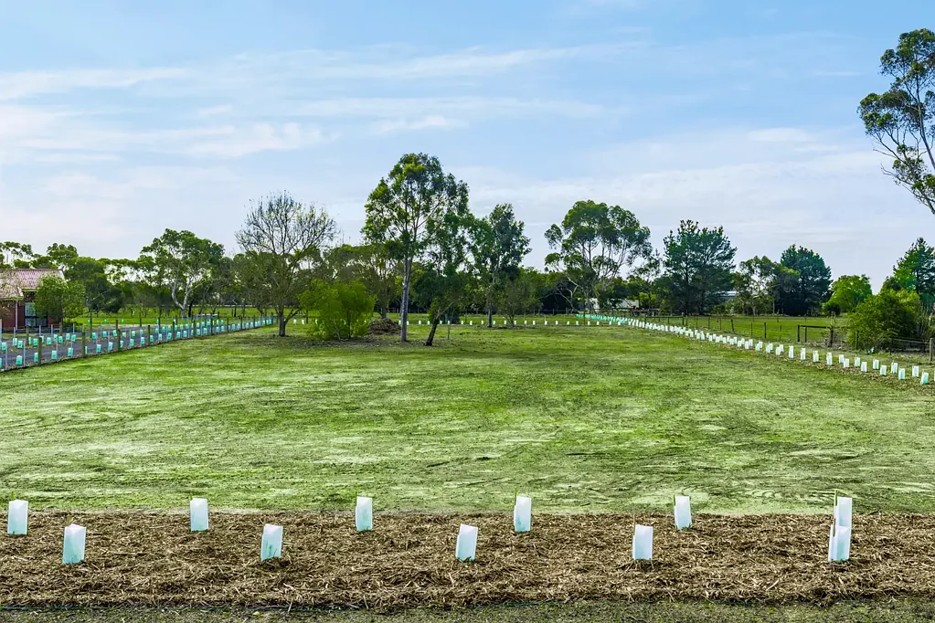 102 Knights Park Crescent, Bannockburn, VIC 3331