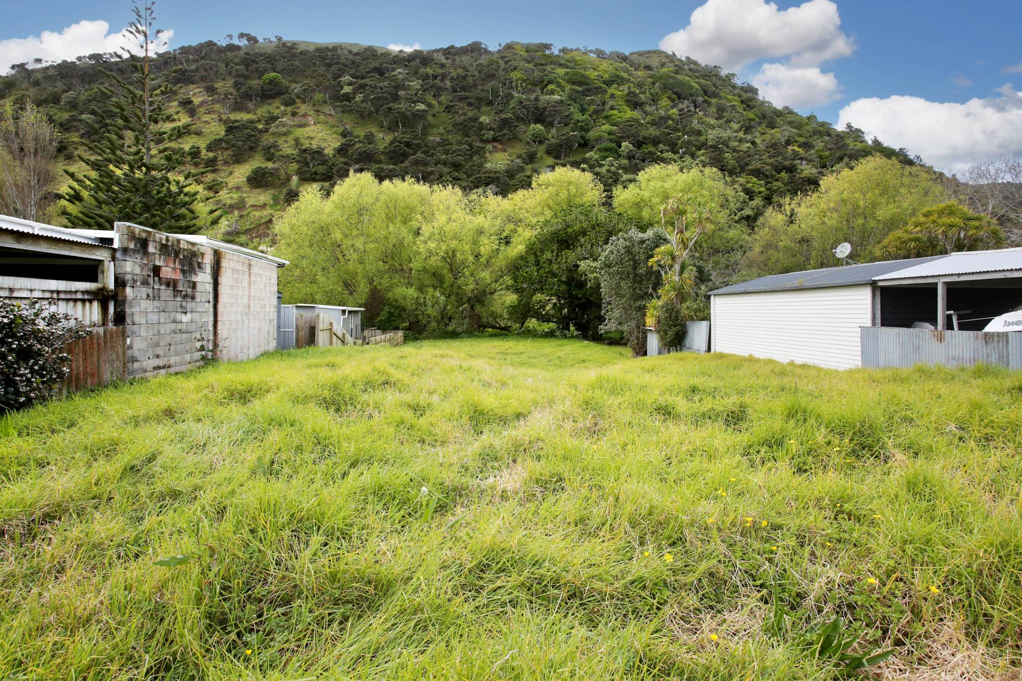 15 Maraetai Place, Port Waikato, photo 4