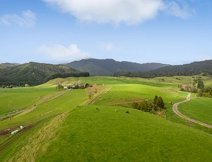 5/71 Poads Road, Levin, Horowhenua, 0房, 0浴, Lifestyle Property