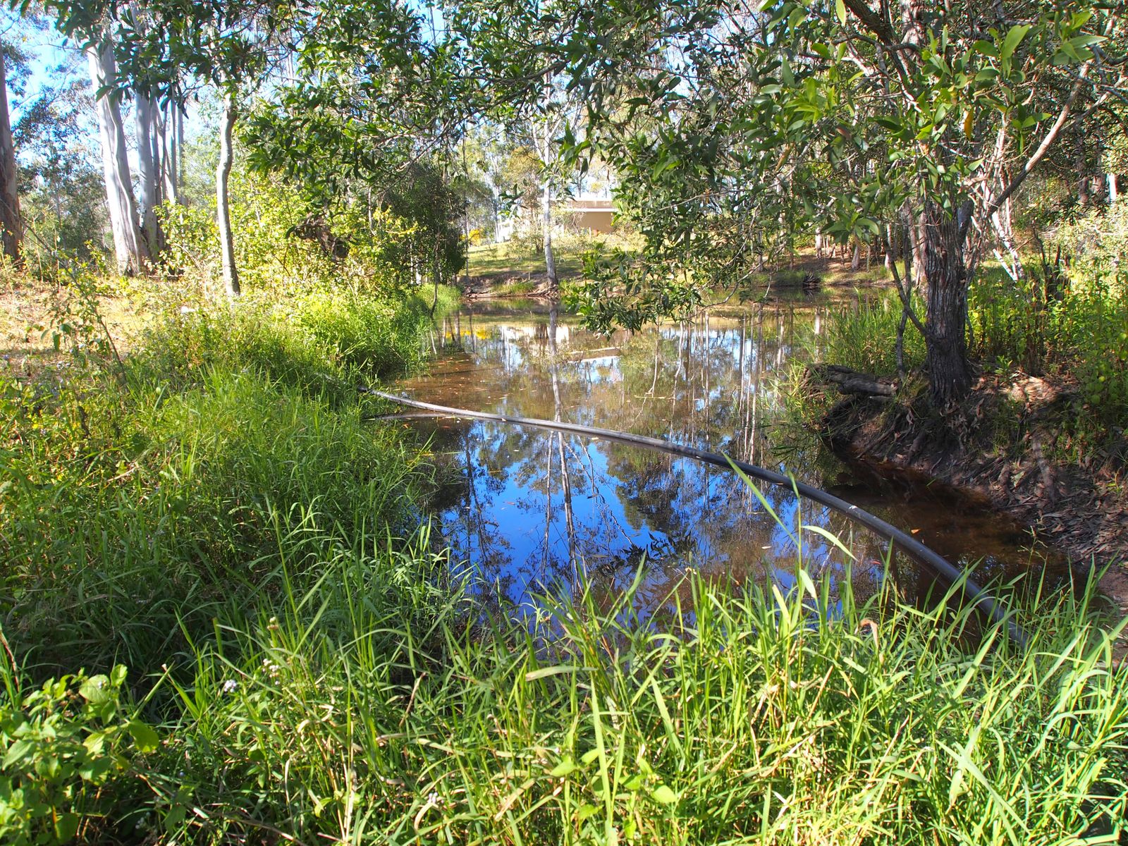 48 BILLABONG CR, APPLE TREE CREEK QLD 4660, 0房, 0浴, Lifestyle Property