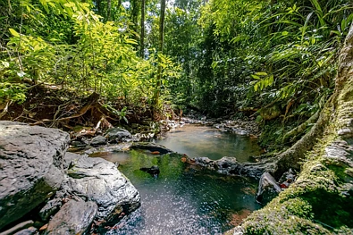 Cow Bay 1 Bedroom Rainforest Retreat with Creek & Swimming Hole