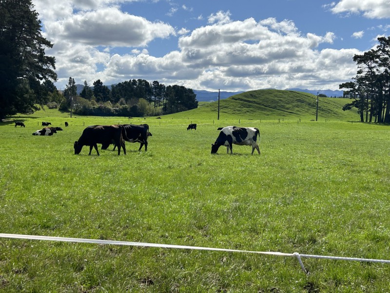 76412 State Highway 2, Rangitikei Surrounds, Hawkes Bay, 0 Bedrooms, 0 Bathrooms