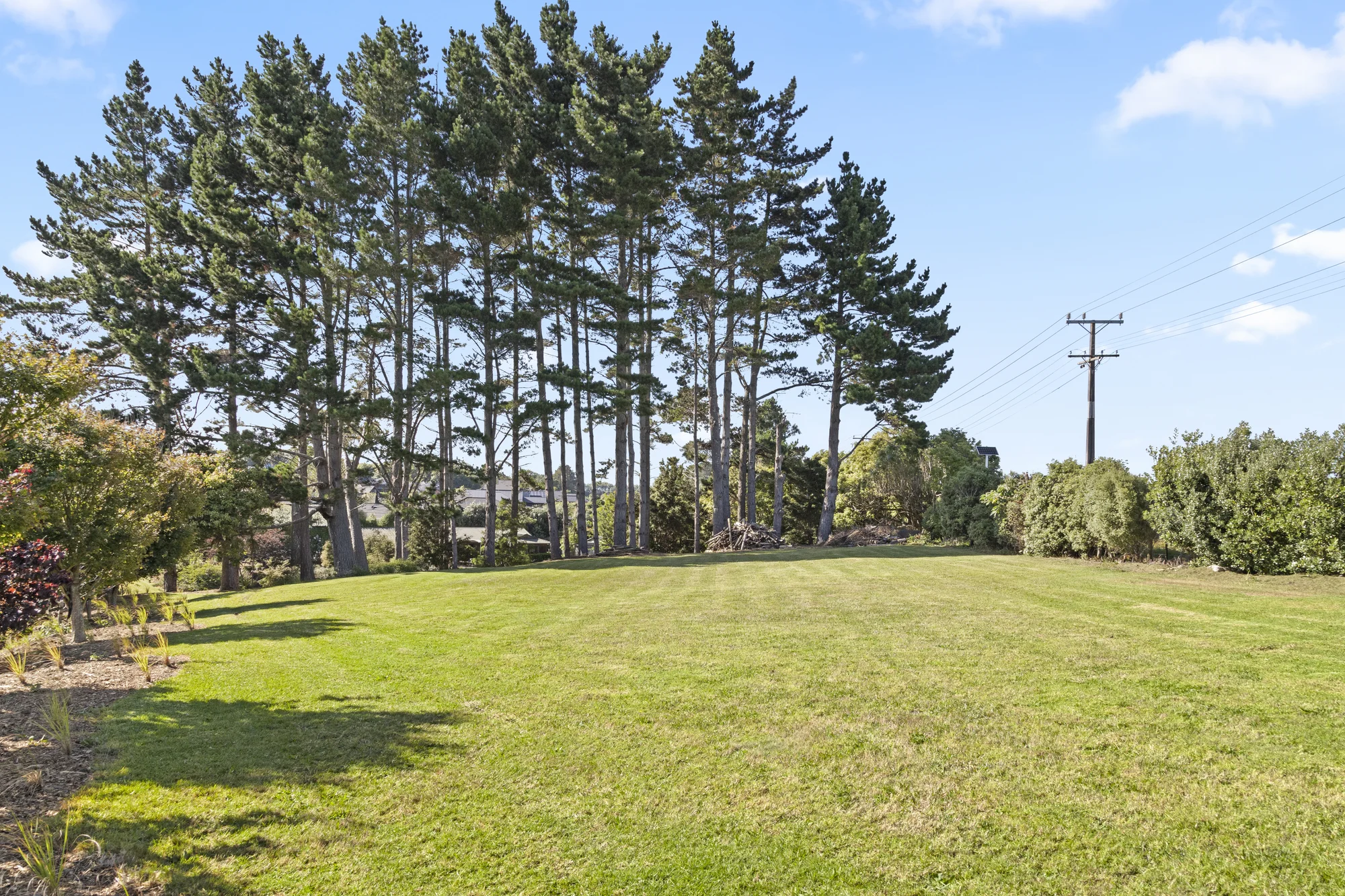 Pukekohe More Value -More Freedom