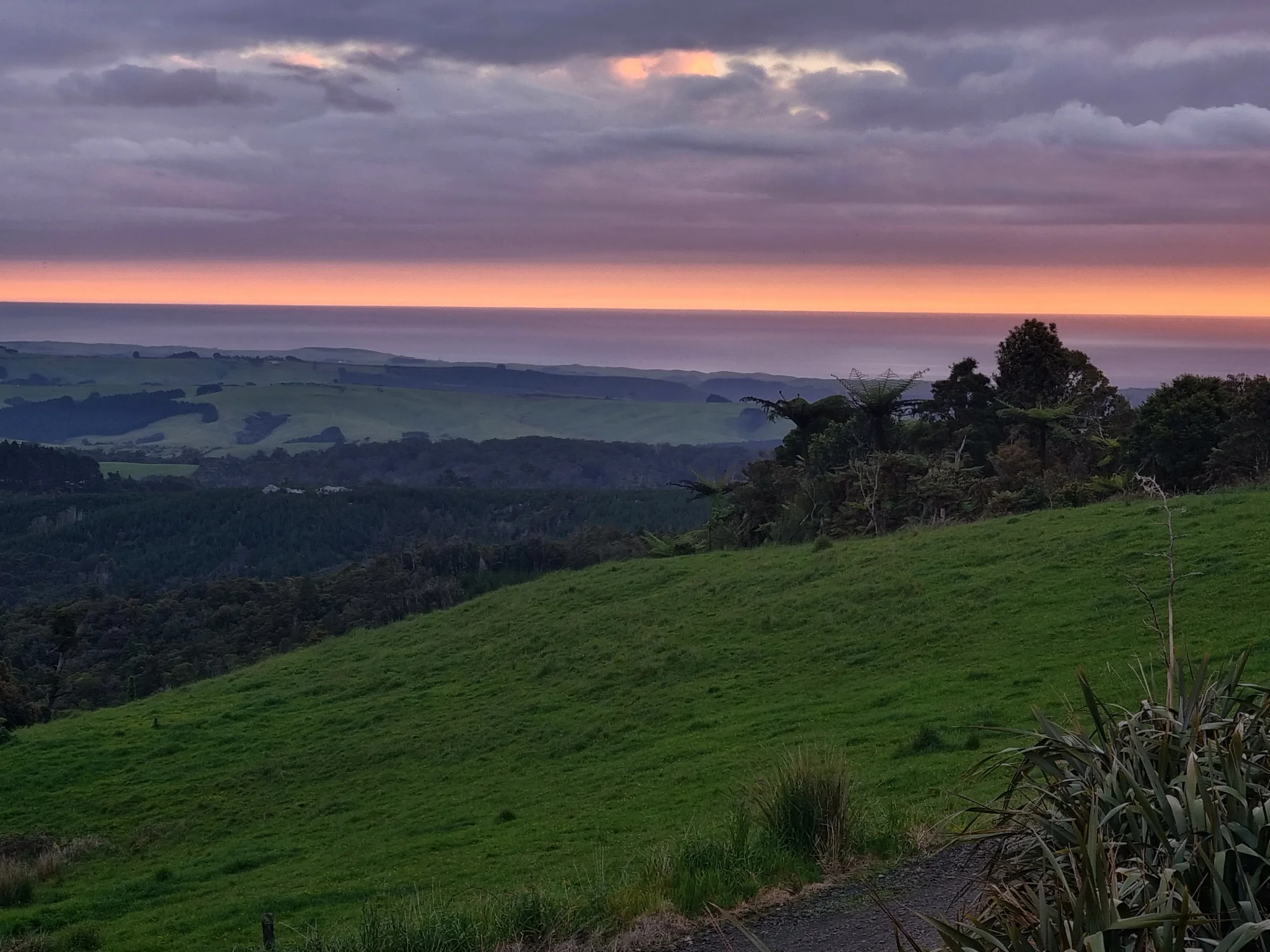 Dargaville Surrounds The Start of Something Bigger