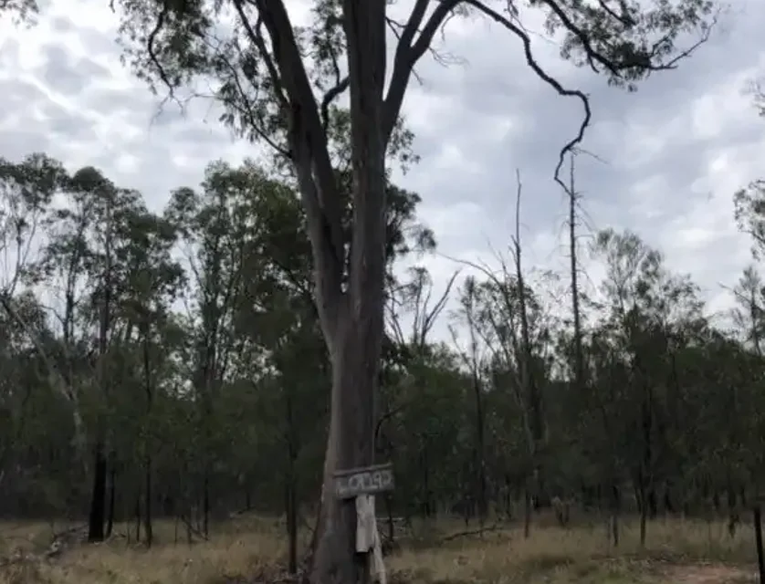 Lot 192 Golden Glow Road, Tara, QLD 4421, 0 chambres, 0 salles de bain, Lifestyle Property