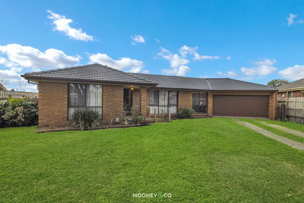 Cranbourne North 4房 四卧室、超大后院，以及随心打造的无限空间 Four Bedrooms, A Huge Backyard & Room To Make It Your Own
