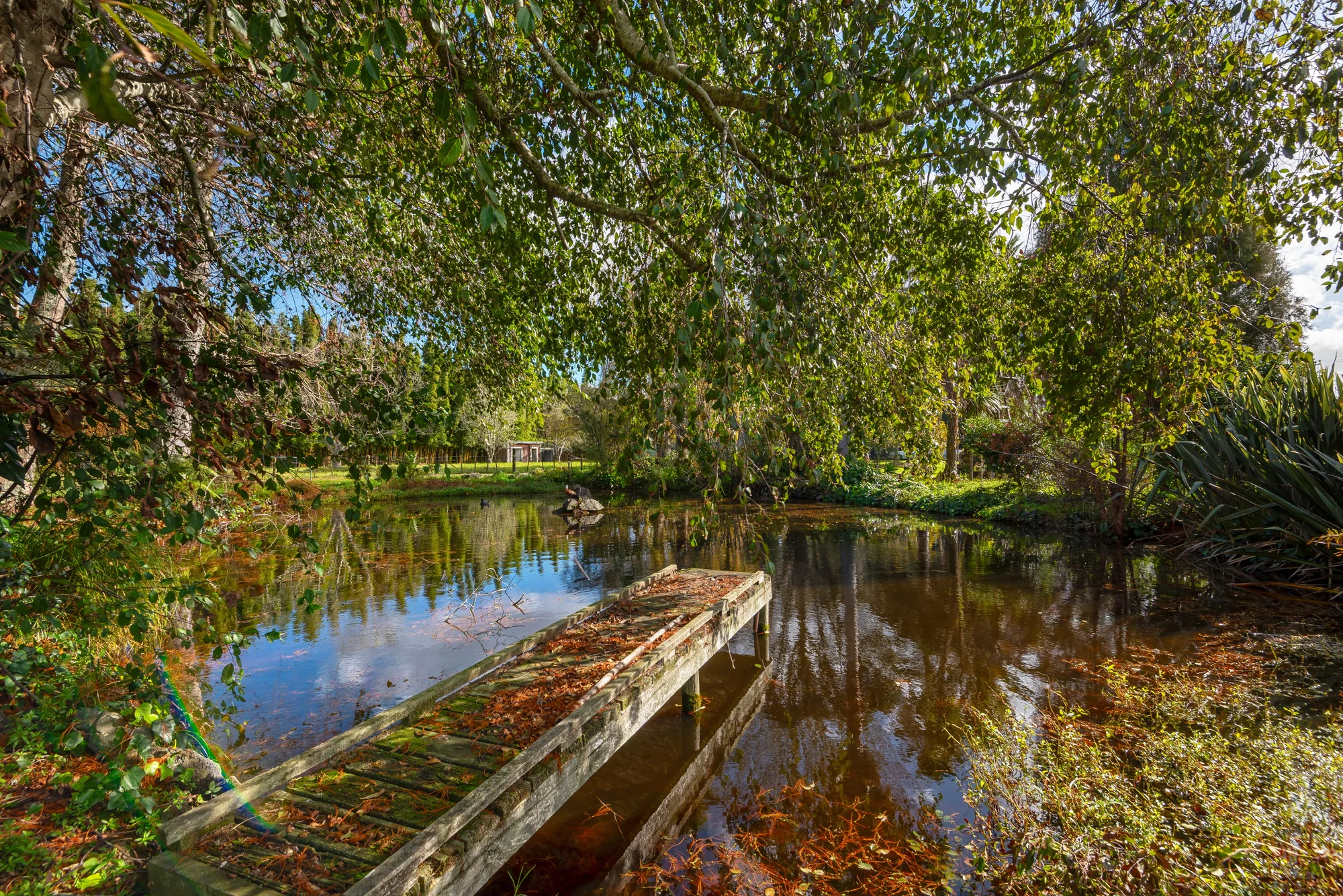 165 Pine Valley Road, Dairy Flat, Rodney, 5 Bedrooms, 3 Bathrooms, Lifestyle Property