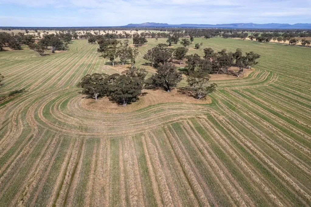 Wonwondah Wonwondah Acreage!