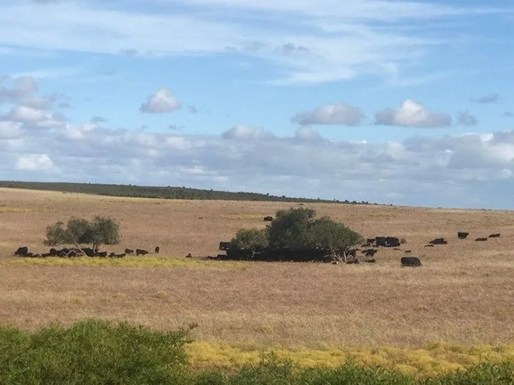 Breton Bay Greenwood Coast Road, Breton Bay -  land banking opportunity