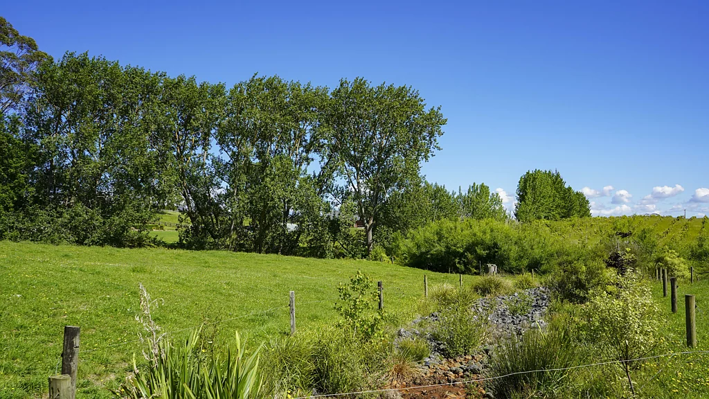 Te Kauwhata Elevated, Sheltered, and the owners want it sold