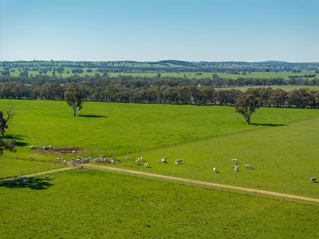 2018 Henty Cookardinia Road, Cookardinia, NSW 2650