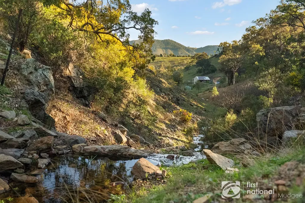 211 Riverlea Road (Riverlea), Mudgee, NSW 2850