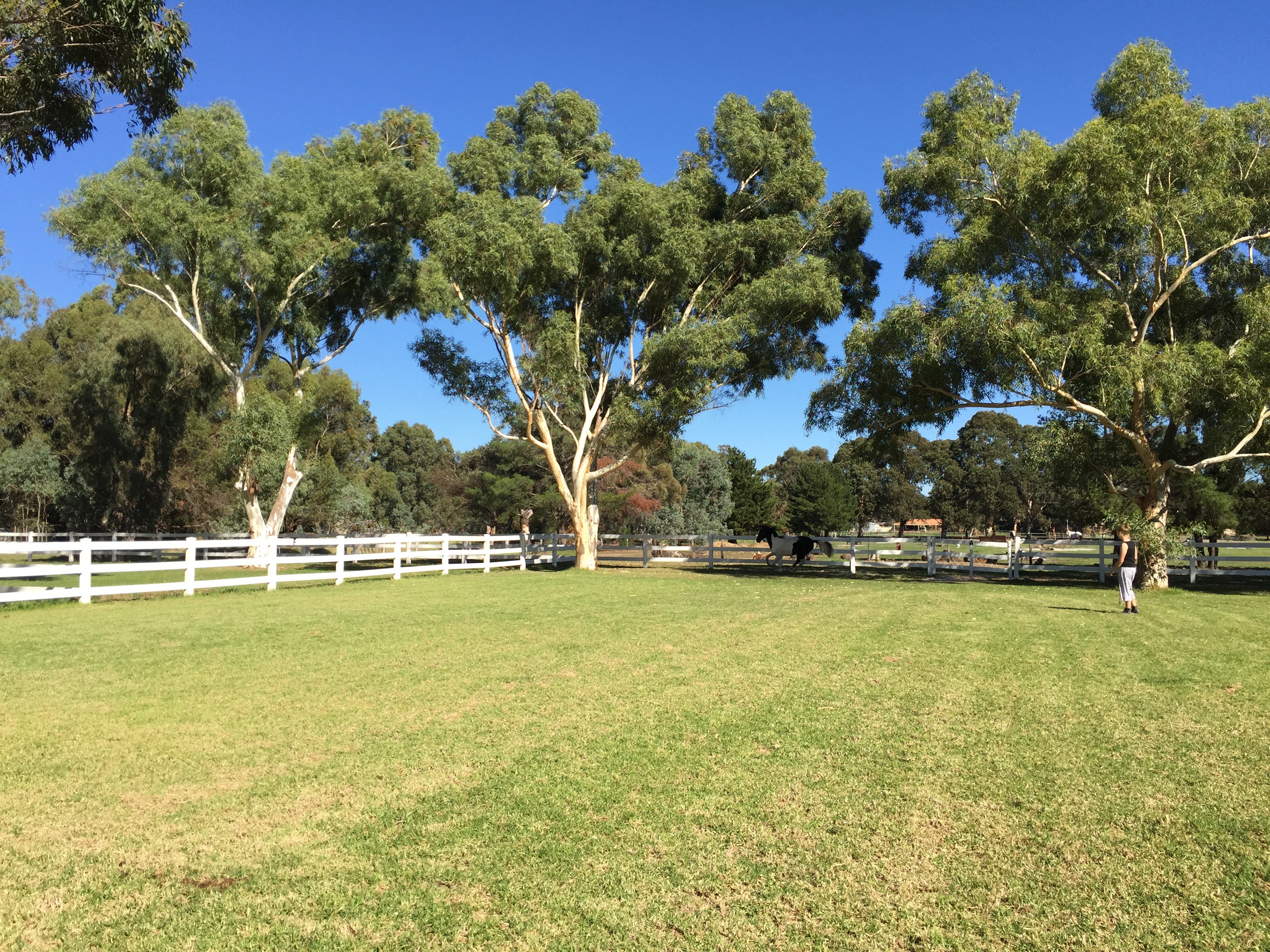 21 LORD FURY CT, DARLING DOWNS WA 6122, 0房, 0浴, House