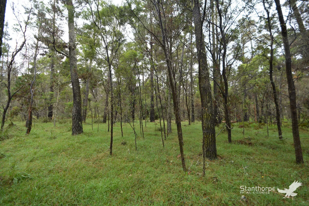 Sugarloaf SUGARLOAF VIA STANTHORPE - 5 PRISTINE ACRES OF EX PINE FORESTRY